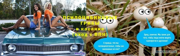 молекула духа Балабаново